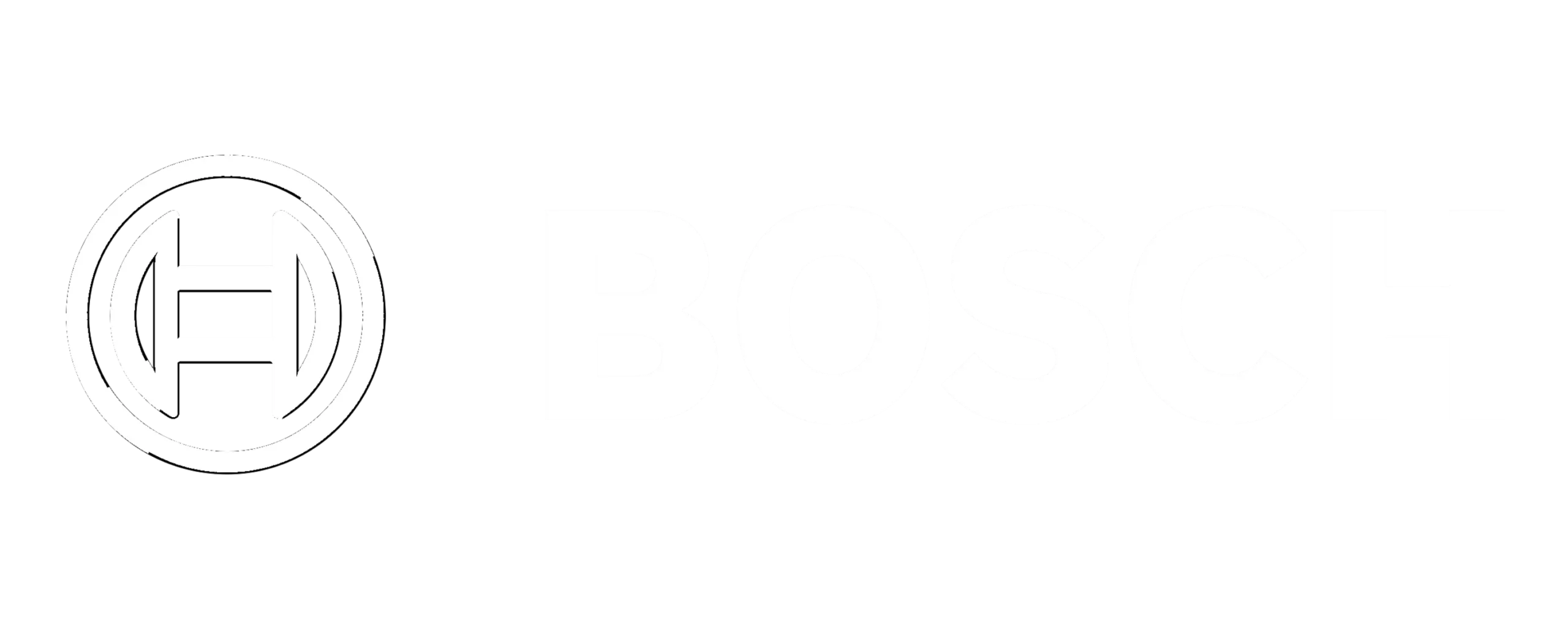 Bosch - Copia (2)